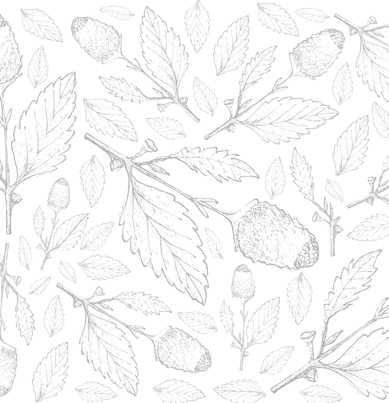 RARA Kew Restaurant Experience